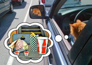 waiting for the ferry